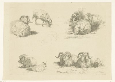 Cztery spektakle z owcami i kozami Owce i kozy (tytuł serii) autorstwa Pieter Gerardus van Os