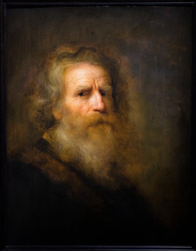 Głowa starca autorstwa Pieter Harmansz Verelst