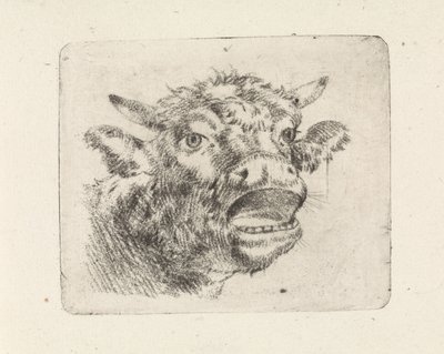 Głowa krowy, wycie autorstwa Pieter Janson