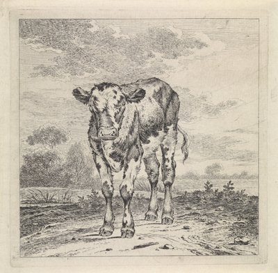 Pejzaż z łydką autorstwa Pieter Janson