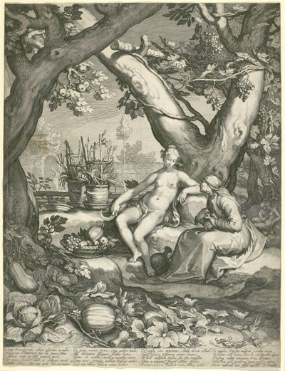 Vertumnus pożyczający postać starej kobiety, by zdobyć miłość Pomonas, 1605 (rycina na papierze) autorstwa Pieter Janszoon Saenredam