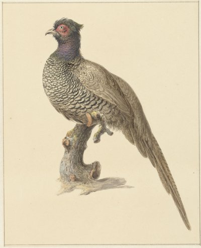 Polowanie na bażanta autorstwa Pieter Pietersz. Barbiers