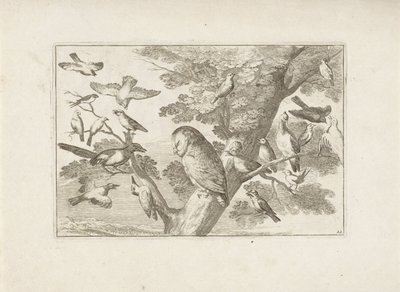 Uil en andere vogels in boom Różne ptaki (tytuł serii) Najdoskonalsze figury różnych ptaków (...) (tytuł serii) autorstwa Pieter Schenk (I) (attributed to)