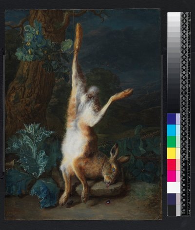 Martwy zając, przed 1782 r. autorstwa Pieter Snyers