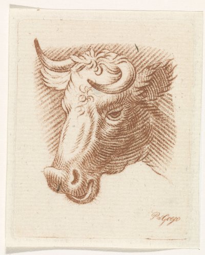 Głowa byka autorstwa Pieter de Goeje