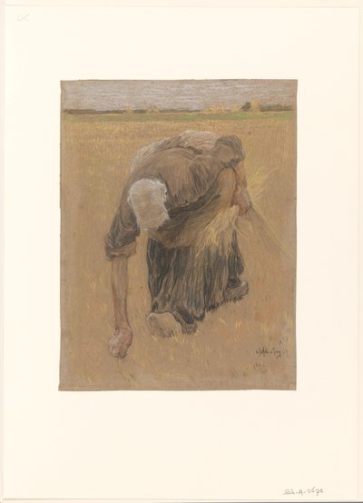 pokłosie kobiety autorstwa Pieter de Josselin