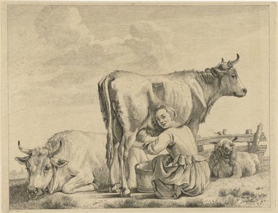 dojarka autorstwa Pieter de Mare