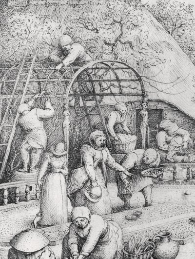 Szczegóły wiosny autorstwa Pieter Bruegel the Elder