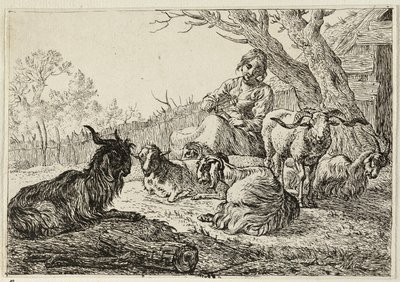 Sheperdess wśród kóz i owiec autorstwa Pieter van Laer