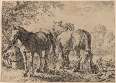 Trzy konie na polu autorstwa Pieter van Laer