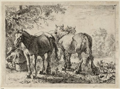 Trzy konie na polu autorstwa Pieter van Laer
