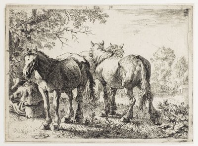 Trzy konie na polu autorstwa Pieter van Laer