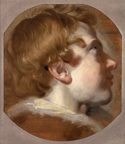 Głowa młodego chłopca, ok. 1620 (olej na papierze) autorstwa Pieter van Mol
