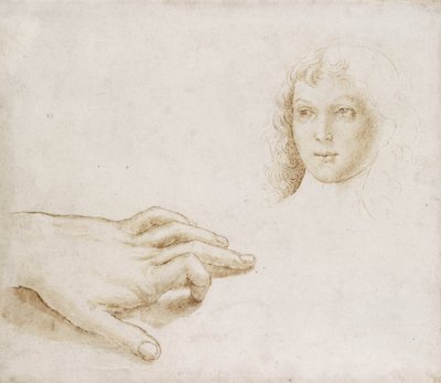 Studia głowy i dłoni (pióro i pędzel w jasnobrązowym tuszu na metalpoint na białym papierze) autorstwa Pietro (circle of) Perugino