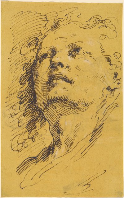 Głowa mężczyzny patrzącego w górę autorstwa Pietro Antonio Novelli