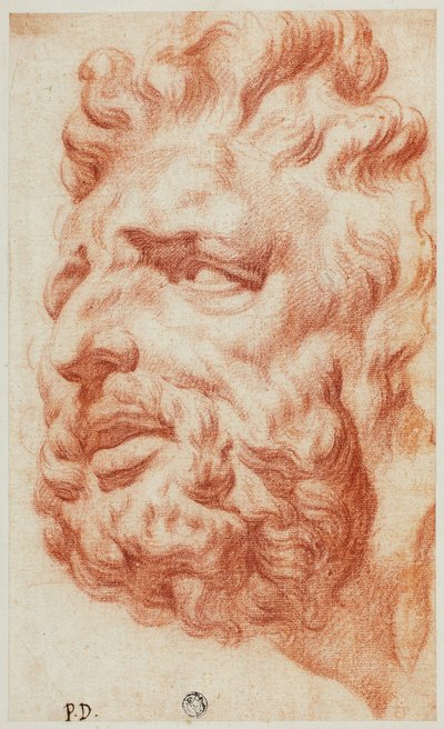 Głowa Laokoona autorstwa Pietro Dandini