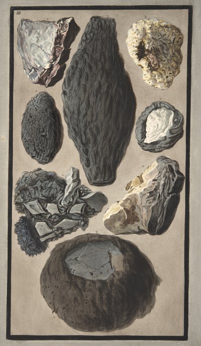 Okazy materii wulkanicznej, z "Campi Phlegraei: Observations on the Volcanoes of the Two Sicilies", Sir William Hamilton (1730-1803), opublikowanej w 1776 r. (rycina ręcznie kolorowana) autorstwa Pietro Fabris