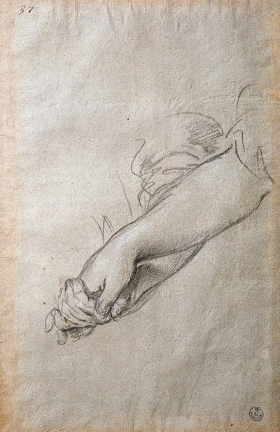 Ręce i ramiona, studium do fresku Złoty Acortonage autorstwa Pietro da Cortona