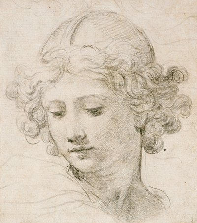 Głowa anioła, spoglądająca w dół w lewo autorstwa Pietro da Cortona