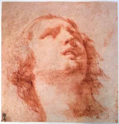Studium głowy kobiety patrzącej w górę, XVII wiek autorstwa Pietro da Cortona