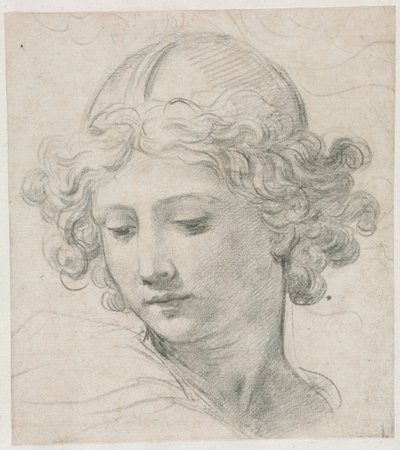 Studium dla Głowy św. Michała autorstwa Pietro da Cortona