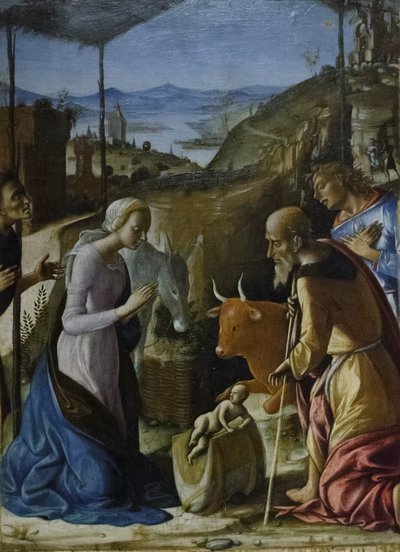 Adoracja pasterzy, ok. 1493-96 (tempera na panelu) autorstwa Pietro di Francesco degli Orioli