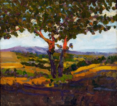 Powitanie słońca, 1902 autorstwa Plinio Nomellini
