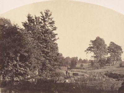 Leśny potok, 1856. autorstwa Plunket