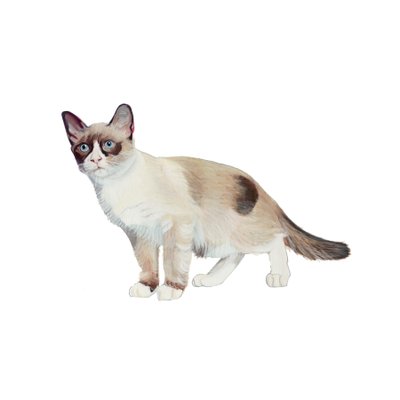 Snowshoe, 2014 (akwarela i gwasz na papierze) autorstwa Polly Horner