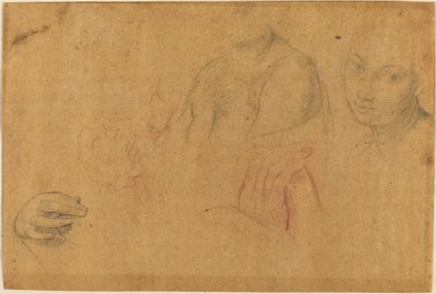 Szkice głów i rąk autorstwa Pompeo Batoni