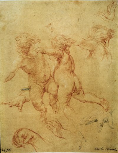 Studium dla dwóch puttów (Two Flying Putti. Study), ok. 1740 (sangwina) autorstwa Pompeo Girolamo Batoni