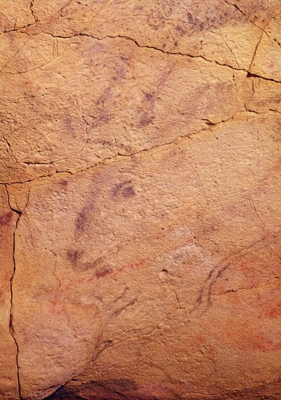 Głowa małego jelenia, z jaskiń w Altamira, ok. 15000-8000 pne (malarstwo jaskiniowe) autorstwa Prehistoric