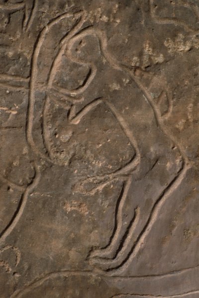 Postać ludzka i głowa byka (rzeźba naskalna) autorstwa Prehistoric