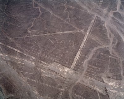 Widok z lotu ptaka na linie Nazca (zdjęcie) autorstwa Prehistoric Prehistoric