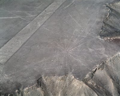 Widok z lotu ptaka na linie Nazca (zdjęcie) autorstwa Prehistoric Prehistoric