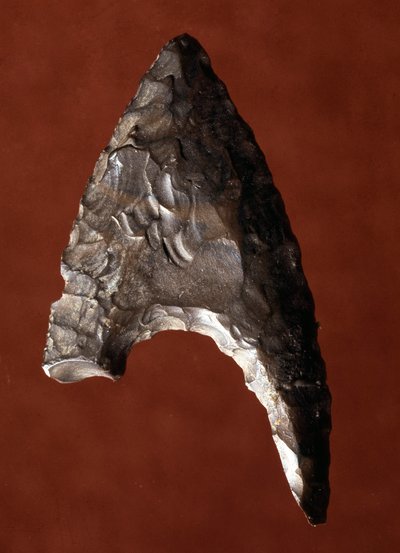 Starożytność egipska: grot strzały ze stanowiska Fajum (Fajum lub Fajum) w Egipcie. Okres predynastyczny. Verone, Museo Civico di Storia Naturale, Włochy autorstwa Prehistoric Prehistoric