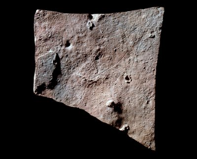 Fragment grafitu z głową zadu autorstwa Prehistoric Prehistoric
