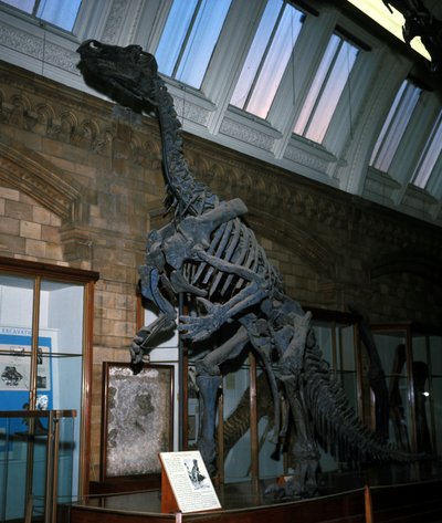 Iguanodon autorstwa Prehistoric Prehistoric