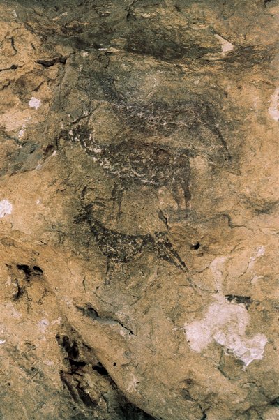 Mezolityczna sztuka naskalna: jelenie i kozy (8000-7000 pne), Hiszpania, Bicorp, Jaskinia La Arana (obraz) autorstwa Prehistoric Prehistoric
