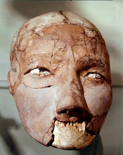 Sztuka neolitu: ludzka czaszka z epoki kamienia (6000-4000 p.n.e.). Z Jerycha, Muzeum Archeologiczne, Amman, Jordania autorstwa Prehistoric Prehistoric