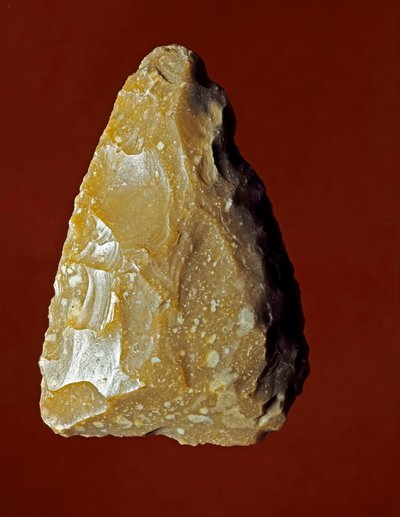 Prehistoria: Narzędzie produkcji litej kultury Campignana, Gargano, Włochy. Chalkolityczny. Verone, Museo Civico di Storia Naturale, Włochy autorstwa Prehistoric Prehistoric