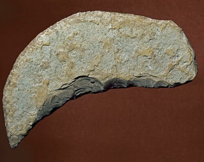 Prehistoria: narzędzie typu chopper z litej manufaktury Kjokkenmoddinger, dania. Paleolityczny. Verone, Museo Civico di Storia Naturale, Włochy autorstwa Prehistoric Prehistoric