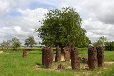 Prehistoria: Megalityczny krąg kamieni z Wassu w Gambii (foto) autorstwa Prehistoric Prehistoric