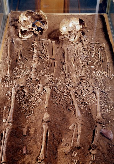 Prehistoria: szkielety dwojga dzieci. 30000-25000 pne. Z jaskini Grimaldi. Saint Germain en Laye, Muzeum Archeologii Narodowej autorstwa Prehistoric Prehistoric