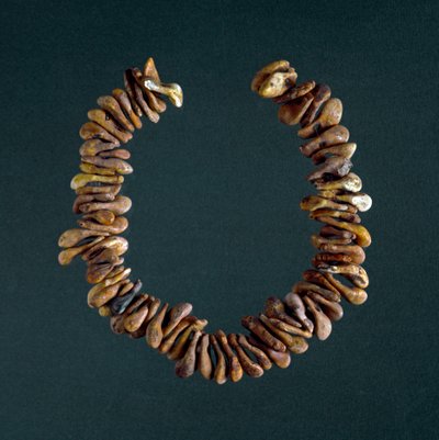 Prehistoria, epoka kamienia: naszyjnik z kości z jaskini Polesine, Veneto. Rzym, Narodowe Muzeum Etnografii Prehistorycznej Luigi Pigorini autorstwa Prehistoric Prehistoric