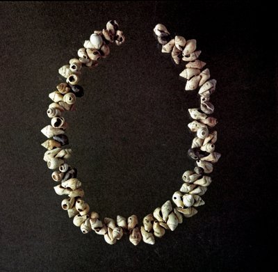 Prehistoria, epoka kamienia: naszyjnik z muszli z jaskini Polesine, Venetie. Średni neolit. Rzym, Narodowe Muzeum Etnografii Prehistorycznej Luigi Pigorini autorstwa Prehistoric Prehistoric