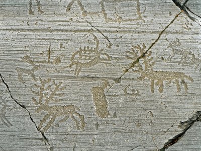 Prehistoria, cywilizacja Camunni, sztuka naskalna: nagrobna skała przedstawiająca jelenia. Okres między neolitem a epoką brązu. Głaz. 1. Capo di Ponte, Park Narodowy Naquane Rock Carvings, Valcamonica, Val Camonica, Włochy autorstwa Prehistoric Prehistoric