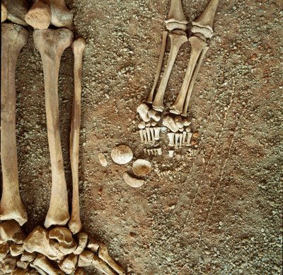 Prehistoria: podwójny grobowiec dorosłych i dzieci. Szczegółowy widok spodni pogrzebowej, u stóp dziecka, trzy ogony wiewiórki, muszle i kamienie ze szczerej jaskini Arene (Finale Ligure), Liguria. Mezolitu, 7000-6000 pne. Geny, muzeum arch autorstwa Prehistoric Prehistoric