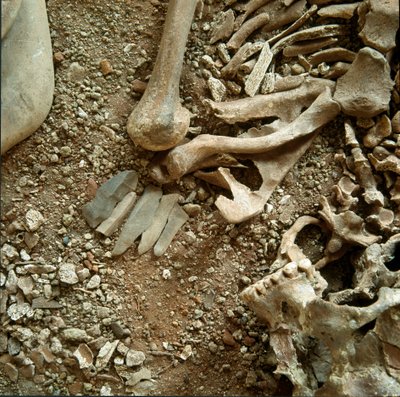 Prehistoria: podwójny grobowiec dorosłych i dzieci. Szczegółowy widok pogrzebowej trousseau z jaskini Candid Arene (Finale Liguria), Liguria. Mezolitu, 7000-6000 pne. Geny, museo di archeologia ligure autorstwa Prehistoric Prehistoric