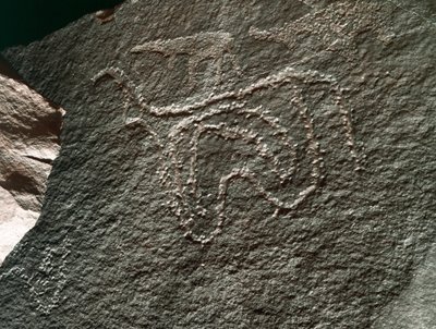 Prehistoria, sztuka naskalna: poważna skała przedstawiająca bydło. Styl Taziny. Epoka kamienia 5000-2000 p.n.e. Taghit, Haut plateau du Hoggar (Ahaggar), Algieria autorstwa Prehistoric Prehistoric